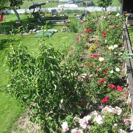 Homestay Pokoje Goscinne Rudka Nowa Wies (Ilawa)